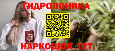 индика Уссурийск