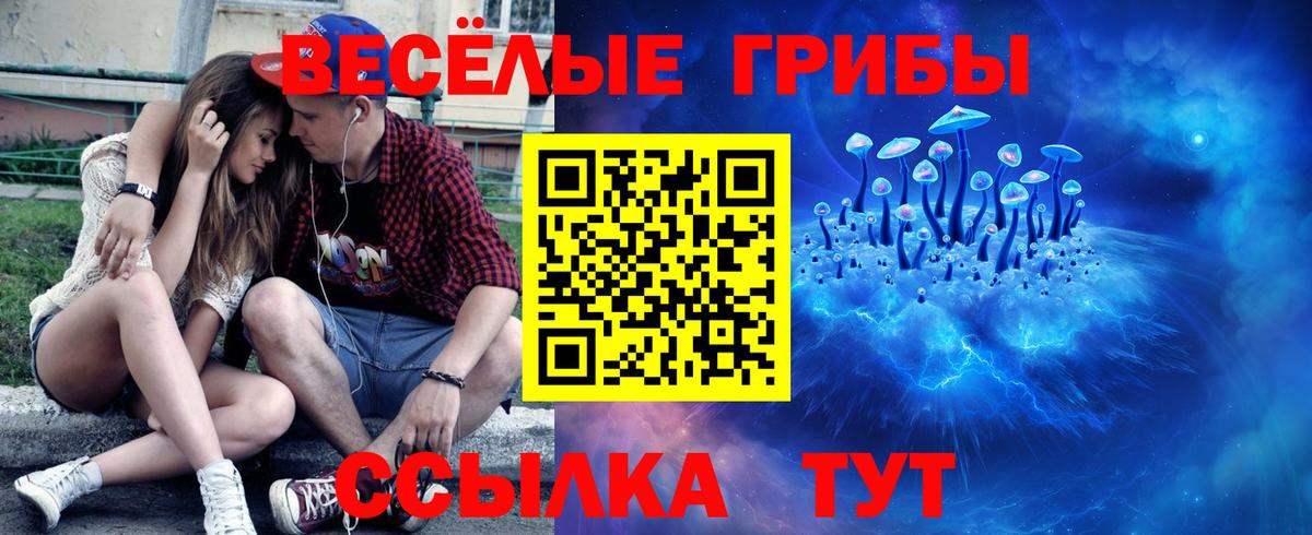 Галлюциногенные грибы мицелий Владимир